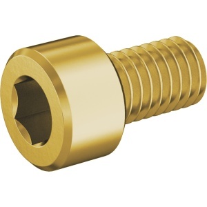 Brass Socket Head Screw M6 x 1.00 mm Thread size, 10 mm Long图3